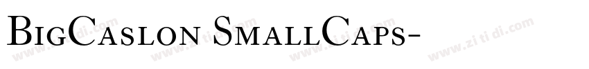 BigCaslon SmallCaps字体转换
